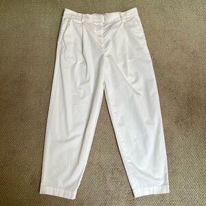 Everlane Pleated Wide Leg Trousers